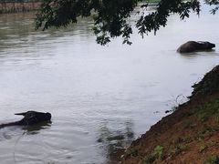 -杭州双溪漂流景区