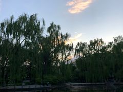 -玲珑塔公园