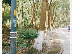 -火炉山森林公园