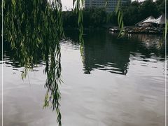-莲湖公园