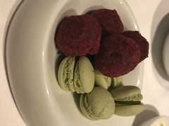 -蝶舍·MAISON PAPILLON