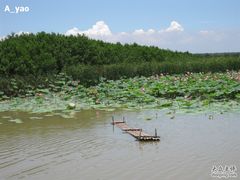 -大湾区中央湿地公园
