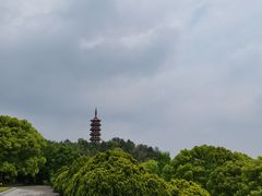 -天下玉苑