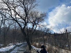 -阳台山自然风景区