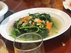 -新君悦国际酒店