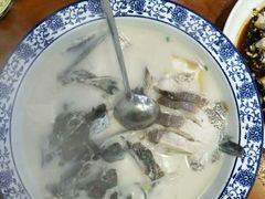 -全乐鱼馆·淳牌有机鱼直营店