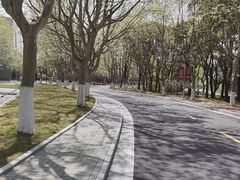 -中国浦东干部学院