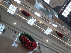 -1981牛排西餐厅(海信店)