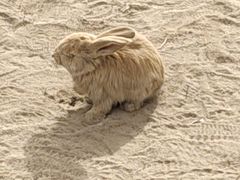 -鄂尔多斯野生动物园