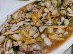 海瓜子-威海渔村(静安旗舰店)