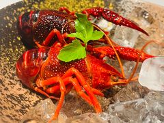 冰醉梅香小龙虾-二十四单 淮扬新味