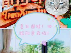 -前小桔亲子创意农场·草莓采摘·露营烧烤