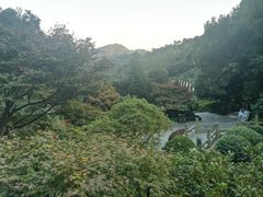 -十八棵（老龙井）御茶园(老龙井店)