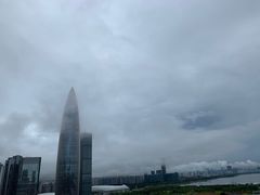 -华润深圳湾体育中心-“春茧” 体育馆