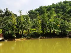 景点-阳台山森林公园