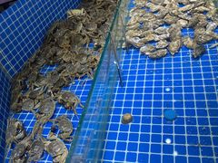 -锤头鲨毛肚海鲜烤肉自助餐厅(国购广场店)