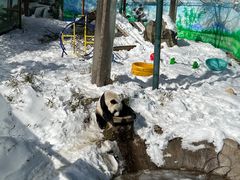 -栾川竹海野生动物园