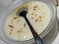 桂花豆花-欧记大排档·景德菜(上海首店)