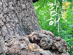 -北陵公园