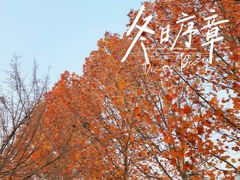 -大兴滨河森林公园