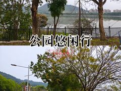 -风云岭森林公园