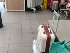 -麦当劳(深圳北站高铁店)