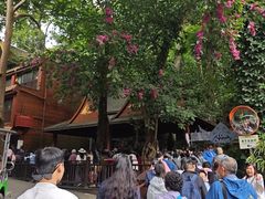 -西双版纳原始森林公园