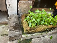 -屯溪老街