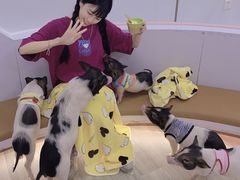 -猪盟咖啡店(玖洲道店)