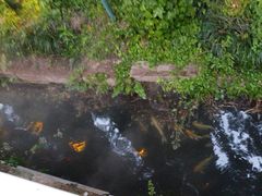 -乌记大厨餐厅