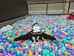 -天空之城蹦床攀岩运动馆·团建拓展·亲子游乐·生日派对(合肥店)