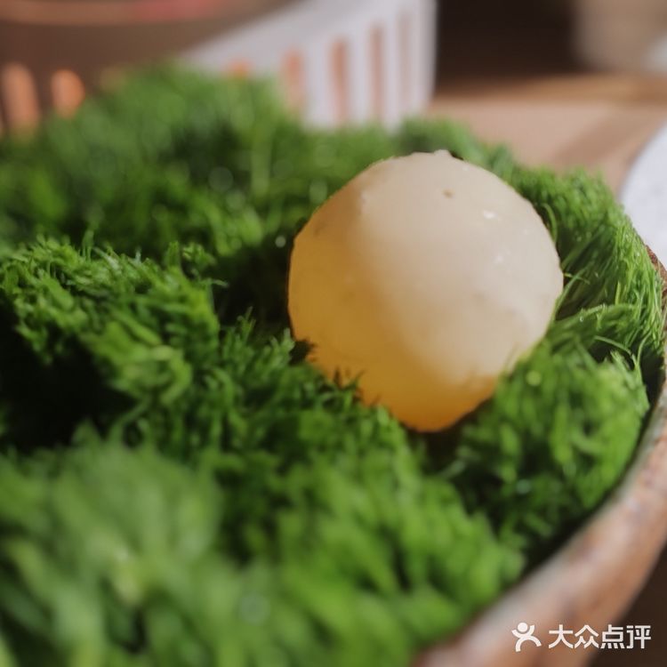 美味素食新概念|青雅茶素