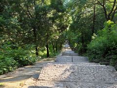 -北京十三陵国家森林公园蟒山景区