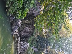 -清心素食自助餐厅(夫子庙店)