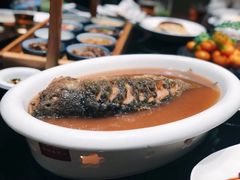 -阿庄新豫菜(航海东路店)