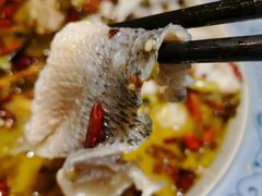 酸菜鲈鱼-陆小凤四川料理(北京路店)