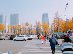 -百林公园-两江幸福广场