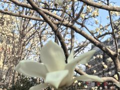 -星巴克(西藏路店)