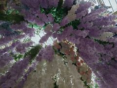 -北戴河集发农业梦想王国