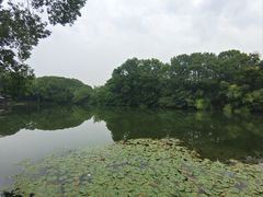 -张鸟园农家乐(张鸟园店)