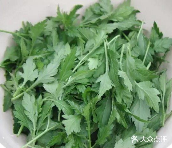 最受欢迎的野菜『七头一脑』之菊花脑