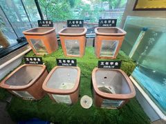 -王捌小院(红花坡店)