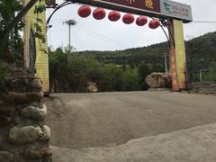 -望湖烤鱼