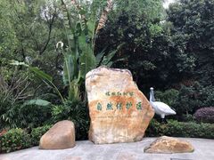 -福田红树林生态公园