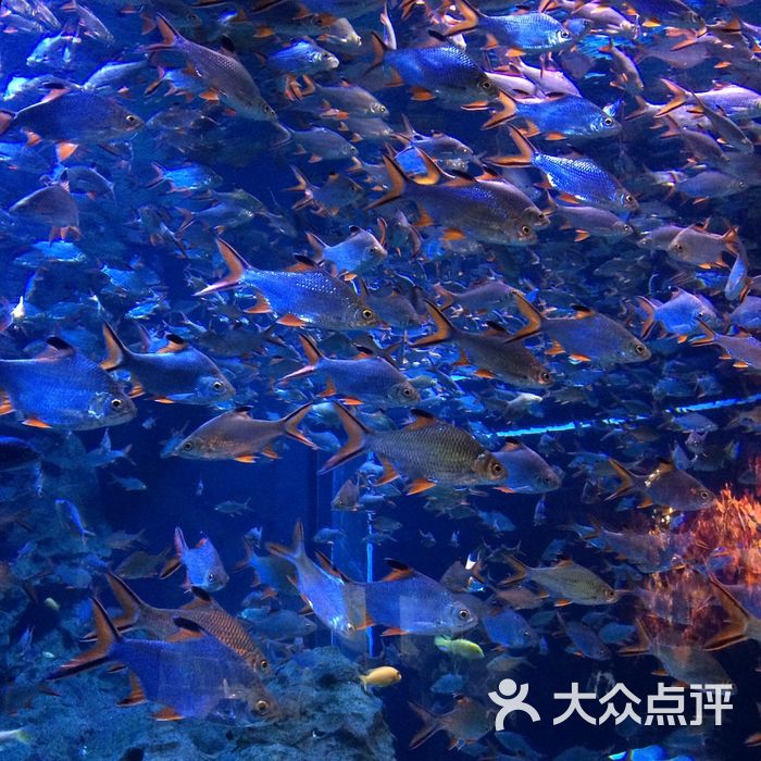 海滨城浩海立方海洋馆