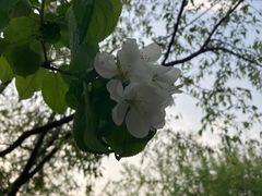 -三里河公园