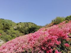 -木兰云雾山