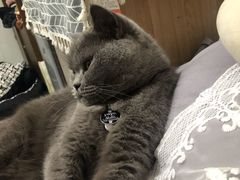 -熊小胖宠物生活馆(天华园店)