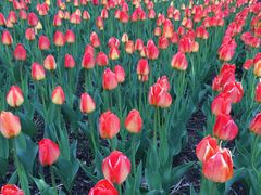 -长春公园(普阳街道)