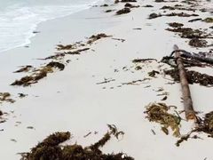 -查汶海滩